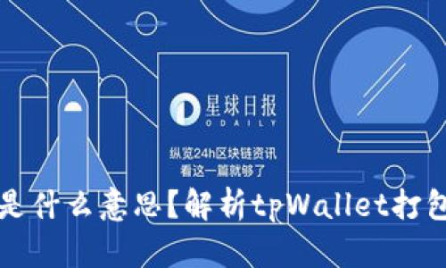 tpWallet打包中是什么意思？解析tpWallet打包过程及其重要性