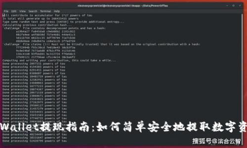 tpWallet提现指南：如何简单安全地提取数字资产