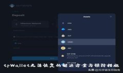tpWallet无法恢复的解决方案与预防措施