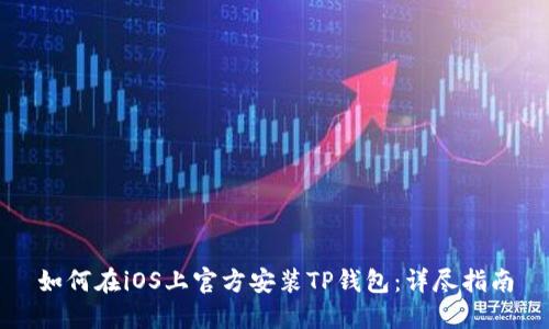 如何在iOS上官方安装TP钱包:详尽指南