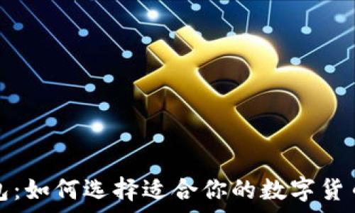虚拟币钱包:如何选择适合你的数字货币存储方案