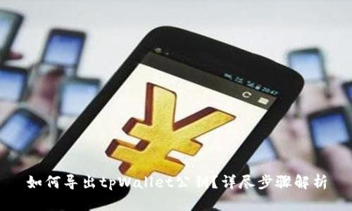 如何导出tpWallet公钥?详尽步骤解析