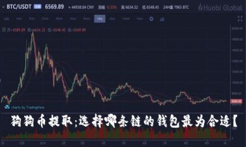狗狗币提取:选择哪条链的钱包最为合适?