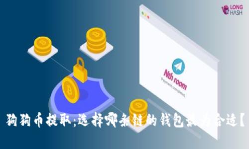狗狗币提取:选择哪条链的钱包最为合适?