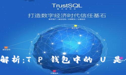 详细解析:T P 钱包中的 U 是什么?