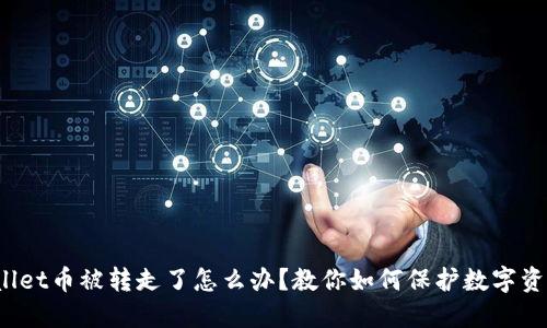 TP Wallet币被转走了怎么办？教你如何保护数字资产安全
