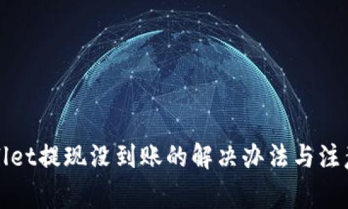 tpWallet提现没到账的解决办法与注意事项