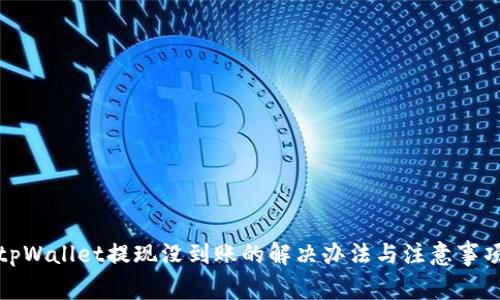 tpWallet提现没到账的解决办法与注意事项