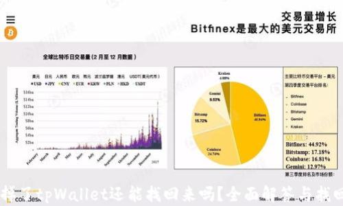 手机掉了tpWallet还能找回来吗?全面解答与找回方法