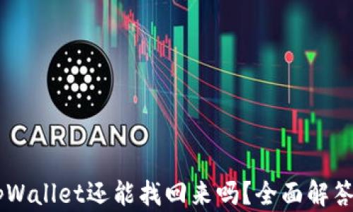 手机掉了tpWallet还能找回来吗?全面解答与找回方法