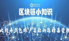 比特币钱包账户名称的选择与管理
