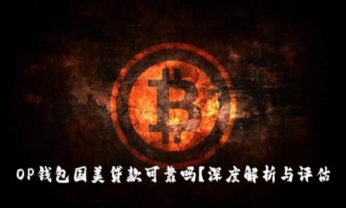 OP钱包国美贷款可靠吗？深度解析与评估
