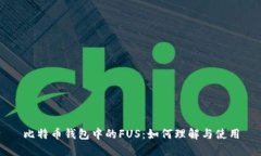 比特币钱包中的FUS：如何理解与使用