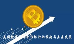 美国数字货币合作银行的崛起与未来发展