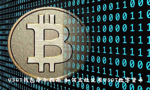 USDT钱包命令指南：如何高效使用USDT数字货币