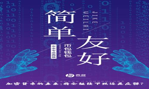 加密货币的未来：将会继续下跌还是反弹?
