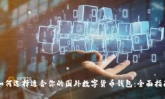 如何选择适合你的国外数字货币钱包：全面指南