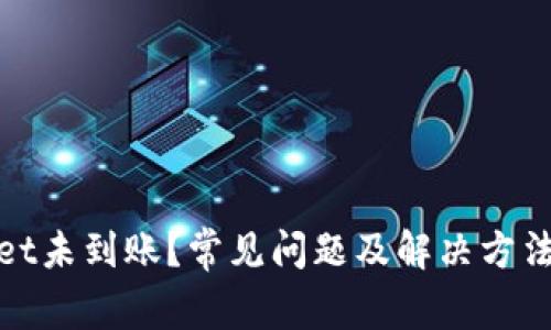 tpWallet未到账?常见问题及解决方法全揭秘