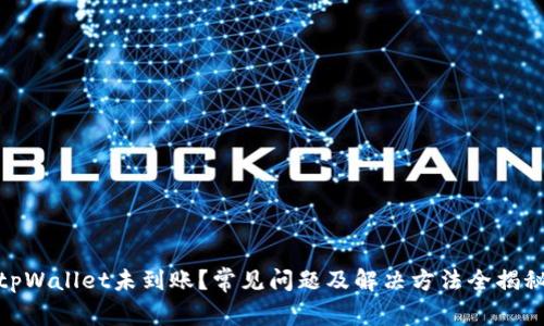 tpWallet未到账?常见问题及解决方法全揭秘